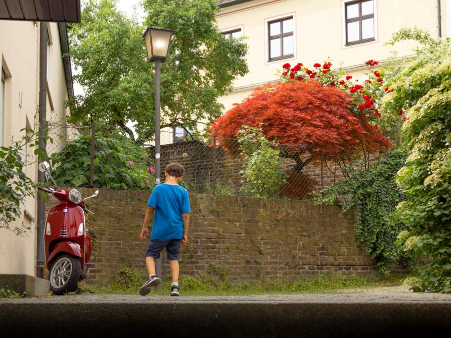 Primavera 18, Impresión sobre papel fotográfico, 2026